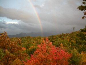 Kelly Deann Bell “Kell Bell”