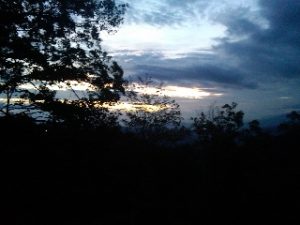 Lorene Gafford Barnhill