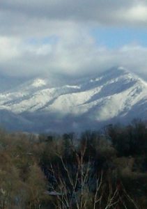 Charles Clement Booker Jr.