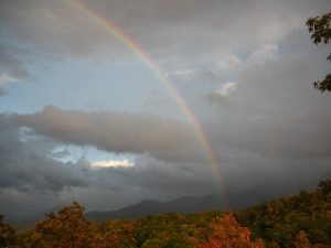 Jeana Fielder Schwartz