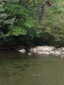 David Arnold Simmons