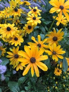 Billie Sue “Susie” Lankford