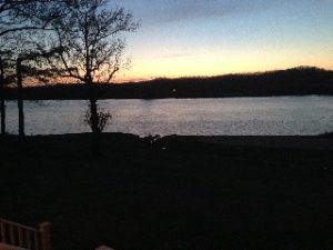 Dillard Edward “Ed” Wills Jr.