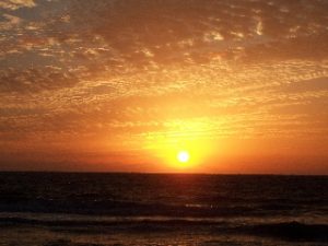 Eddie C. Neblett Jr.