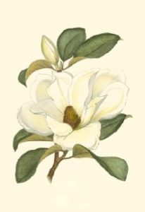 Mrs. Margaret Powner