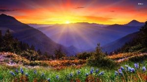 William Harville “Dukey” Dile