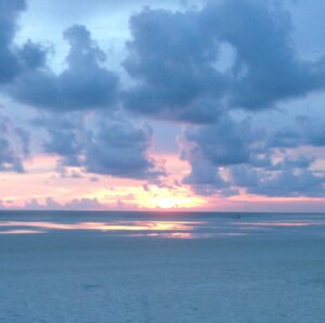 Janet Sue “Jan” VandeBunt