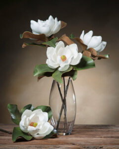 Linda Margaret Titolo